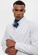 Regular Fit V-Neck Cardigan