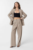 Denisa High Waist Pleated Trousers