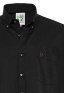 Regular Fit Button-Down Collar Shirt