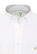 Regular Fit Button-Down Collar Shirt