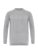 Regular Fit Crew Neck Jumper