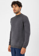 Regular Fit Crew Neck Jumper