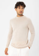 Regular Fit Crew Neck Jumper