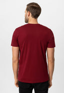 Ethan Regular Fit V-Neck T-shirt