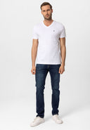 Ethan Regular Fit V-Neck T-shirt