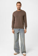 Cowen Regular Fit Pullover