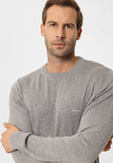 Cowen Regular Fit Pullover