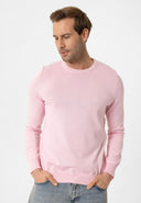 Cowen Regular Fit Pullover
