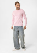 Cowen Regular Fit Pullover