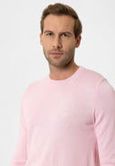 Cowen Regular Fit Pullover