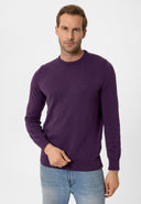 Cowen Regular Fit Pullover