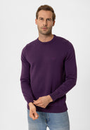 Cowen Regular Fit Pullover