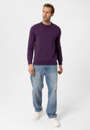 Cowen Regular Fit Pullover