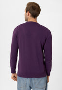 Cowen Regular Fit Pullover