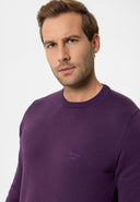 Cowen Regular Fit Pullover