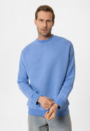 Louis Regular Fit Sweatshirt