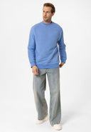 Louis Regular Fit Sweatshirt