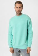 Louis Regular Fit Sweatshirt