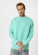 Louis Regular Fit Sweatshirt