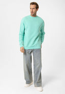 Louis Regular Fit Sweatshirt