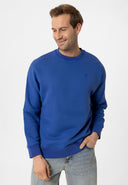 Louis Regular Fit Sweatshirt