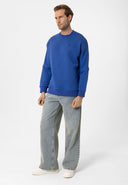 Louis Regular Fit Sweatshirt