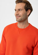 Raphael Regular Fit Sweatshirt